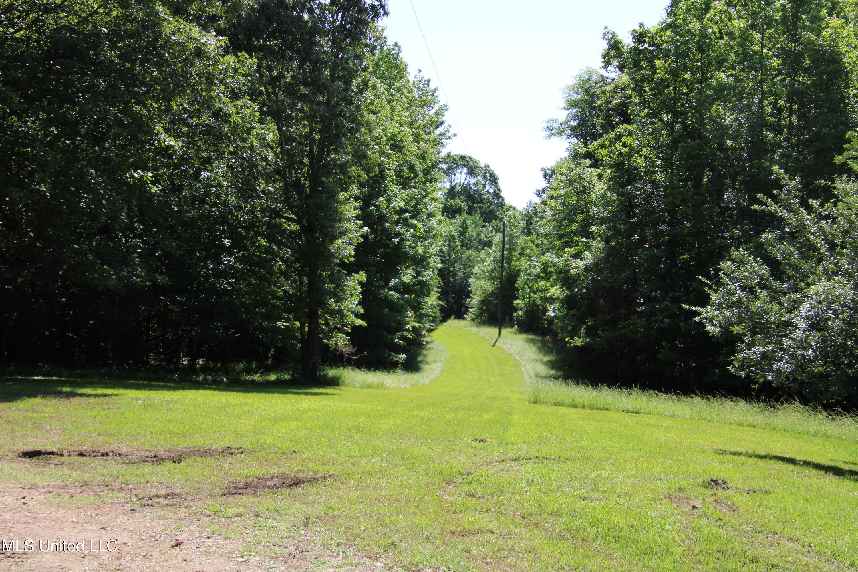2936 Smith Rd Road, Yazoo City, Mississippi image 5