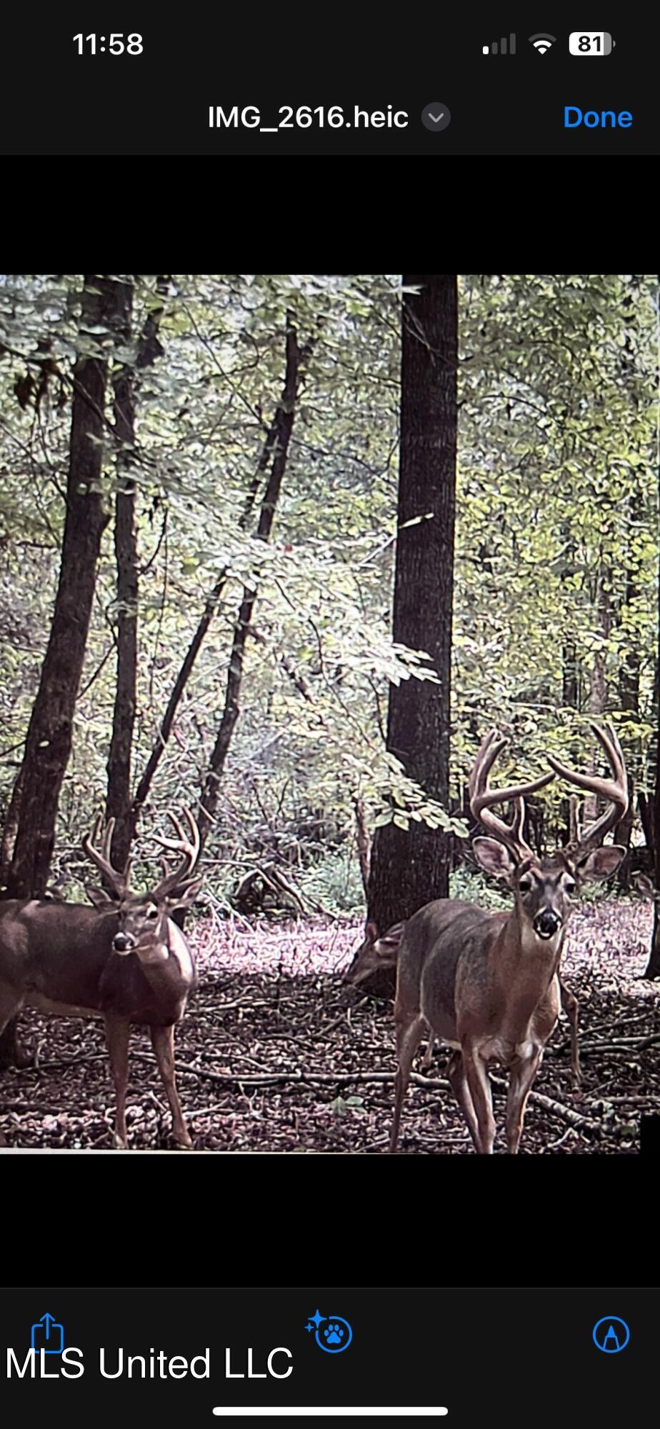 2936 Smith Rd Road, Yazoo City, Mississippi image 29