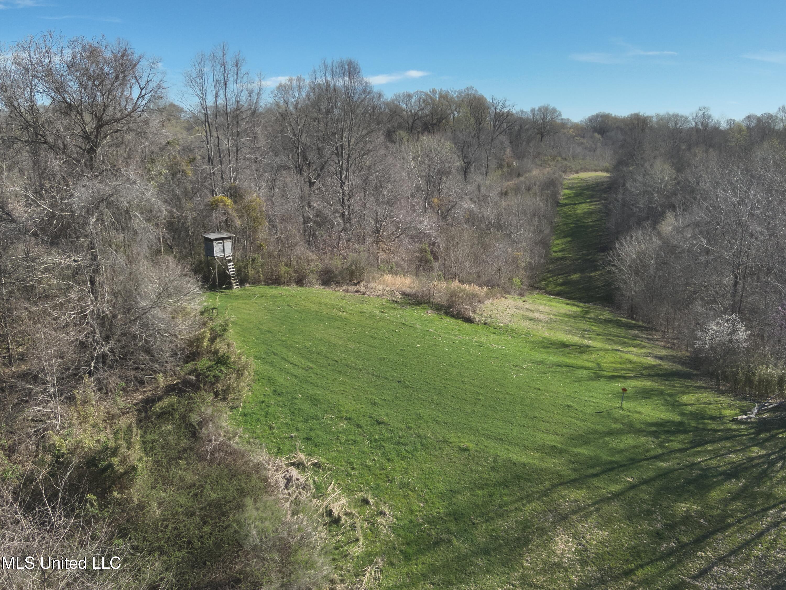 2936 Smith Rd Road, Yazoo City, Mississippi image 16