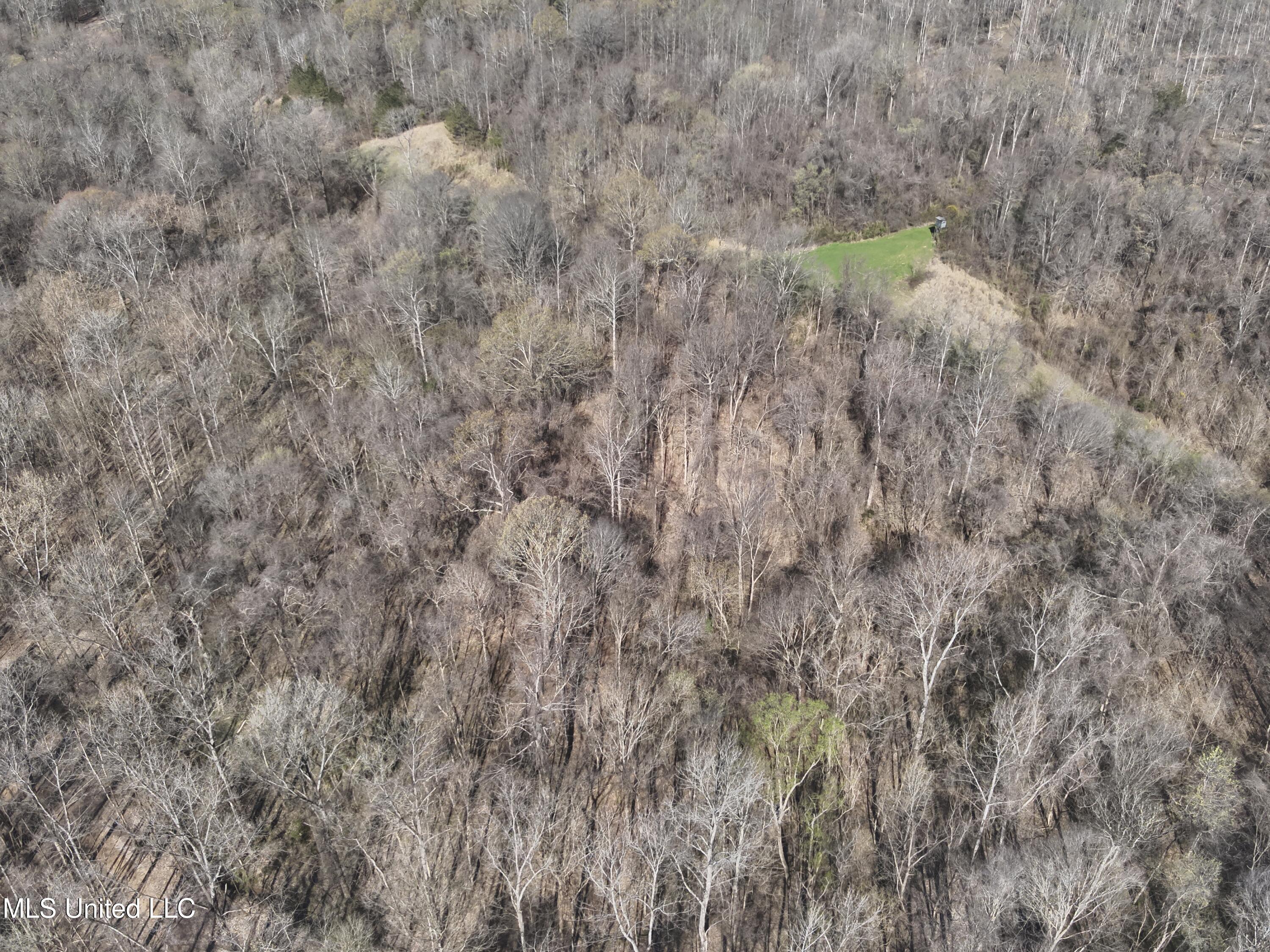 2936 Smith Rd Road, Yazoo City, Mississippi image 21