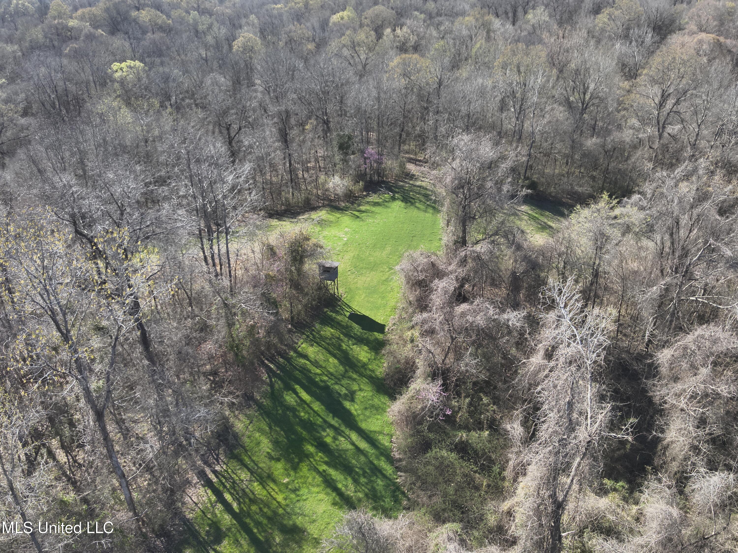 2936 Smith Rd Road, Yazoo City, Mississippi image 17