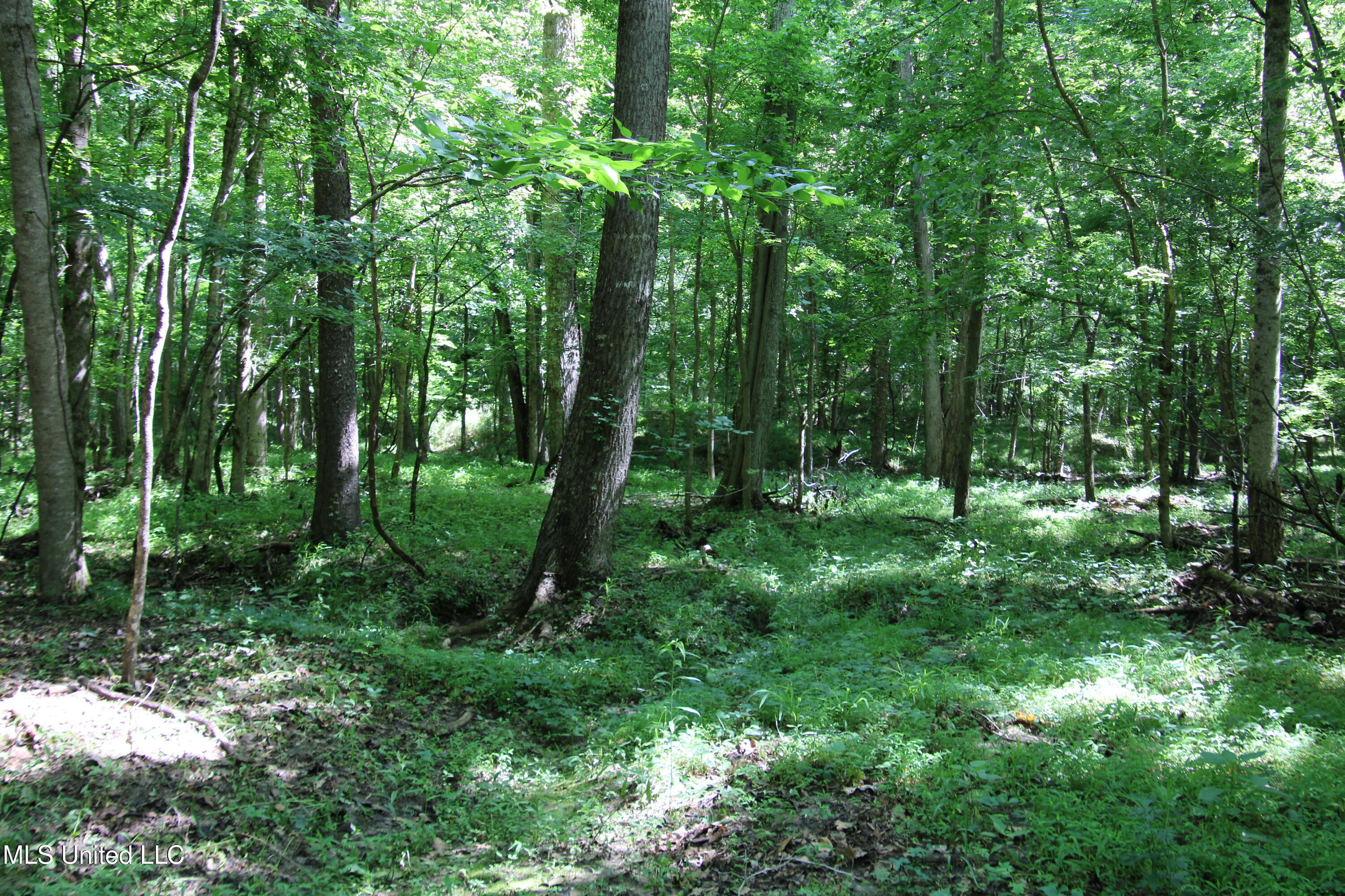 2936 Smith Rd Road, Yazoo City, Mississippi image 15