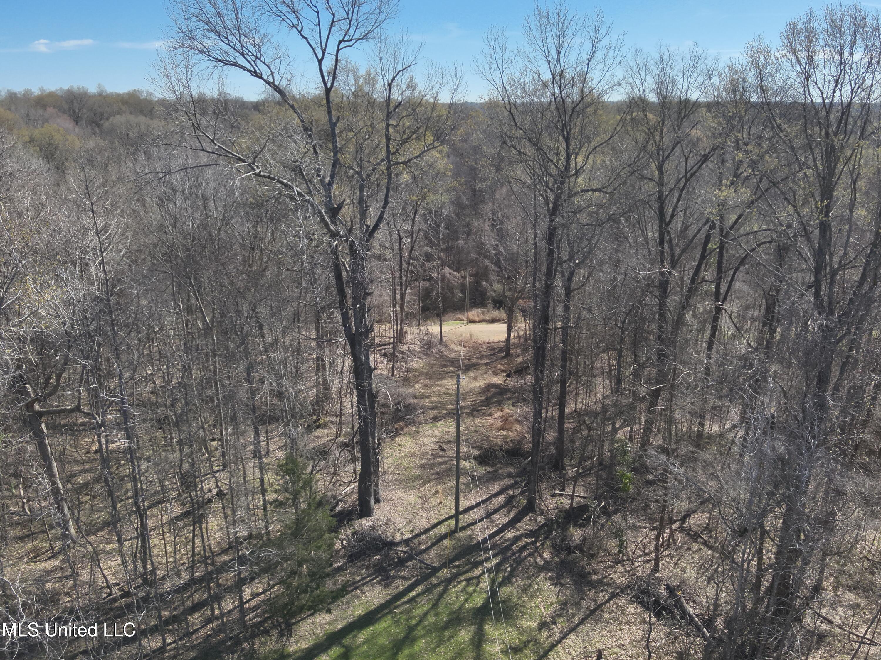 2936 Smith Rd Road, Yazoo City, Mississippi image 20
