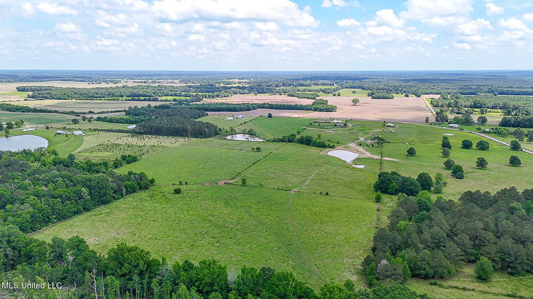 331 D Williams Road, Morton, Mississippi image 12