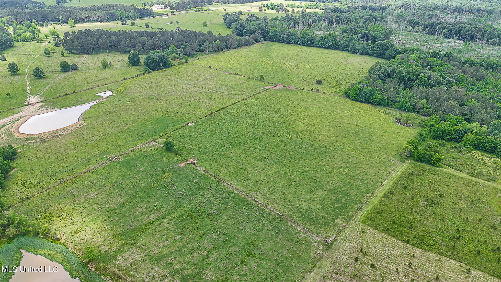 331 D Williams Road, Morton, Mississippi image 7