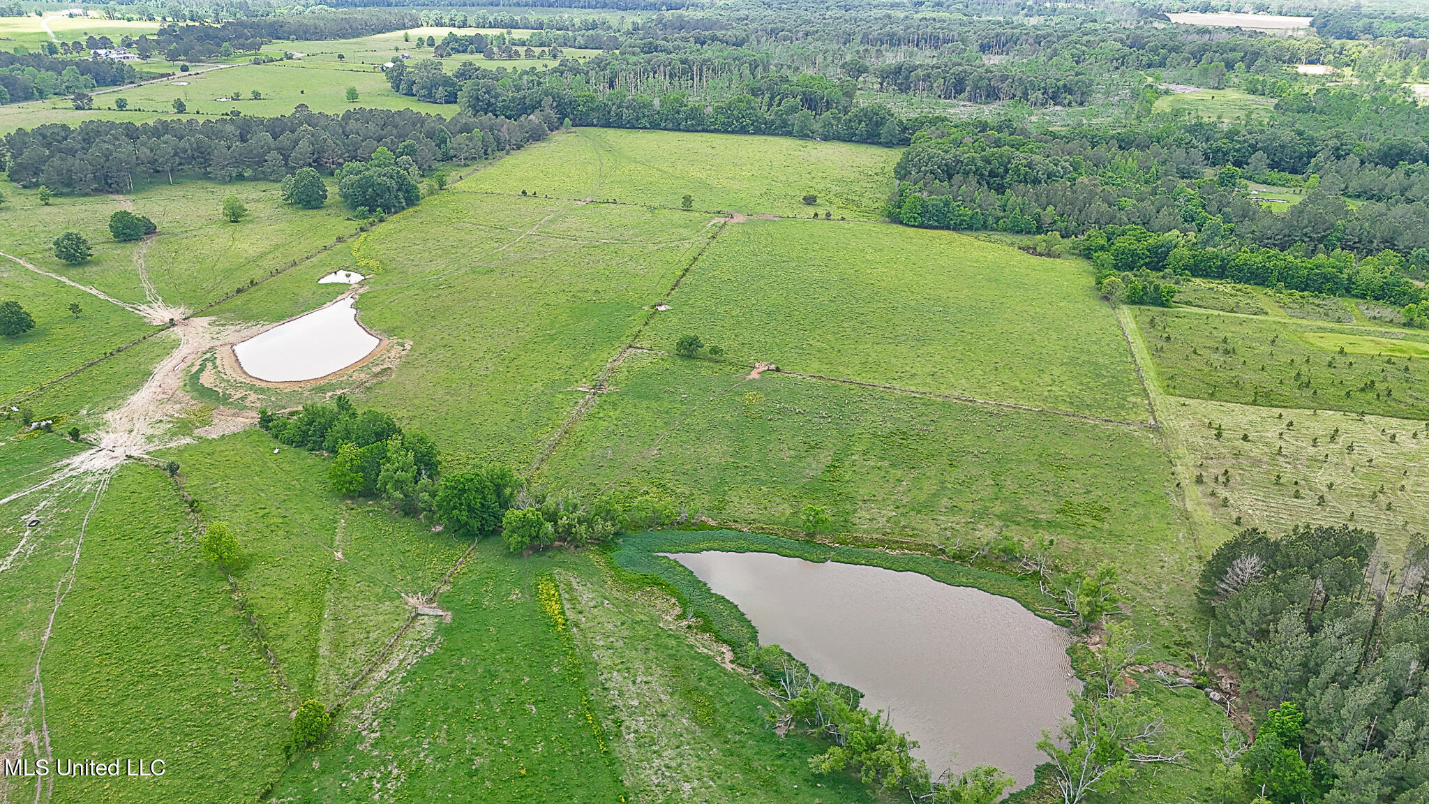 331 D Williams Road, Morton, Mississippi image 8
