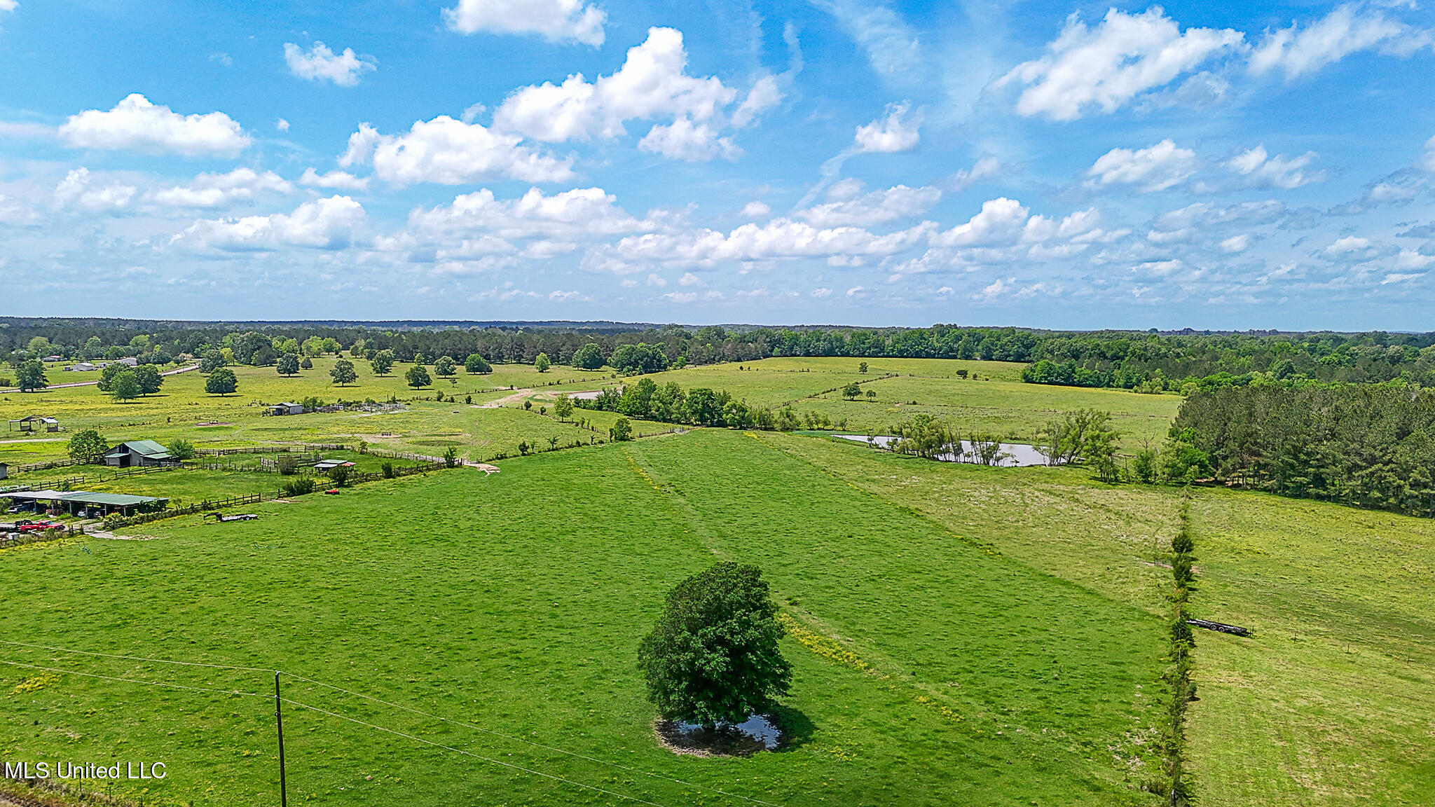 331 D Williams Road, Morton, Mississippi image 19