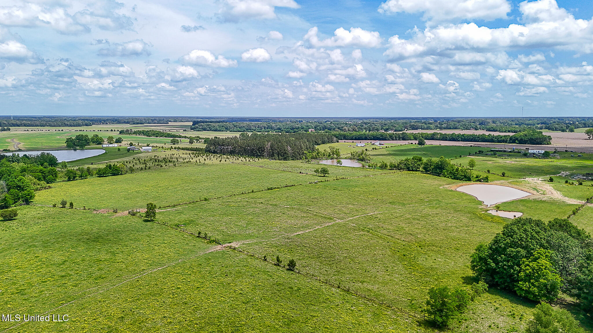 331 D Williams Road, Morton, Mississippi image 14