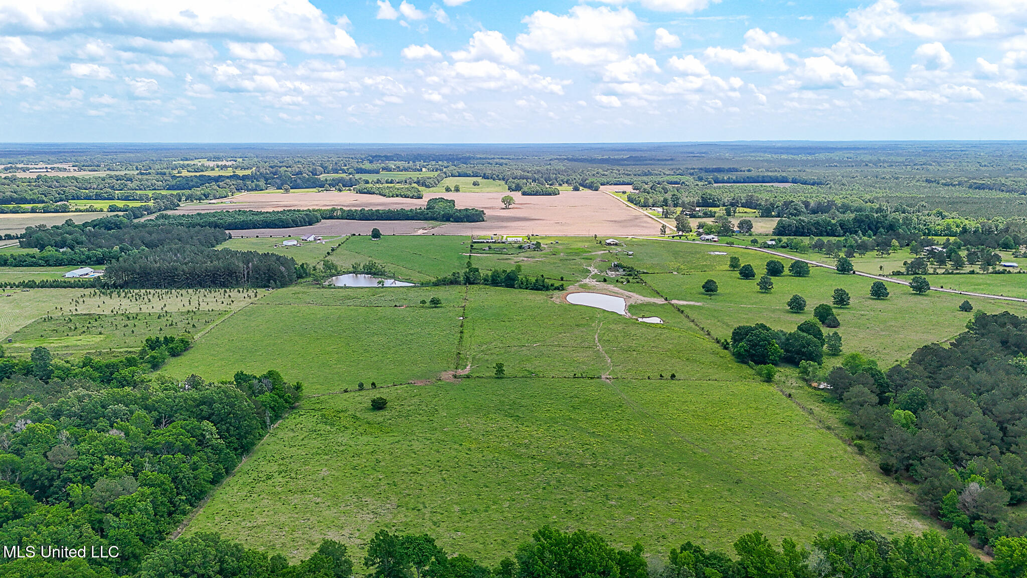 331 D Williams Road, Morton, Mississippi image 13