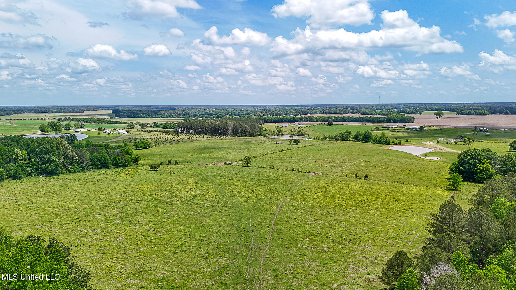 331 D Williams Road, Morton, Mississippi image 15