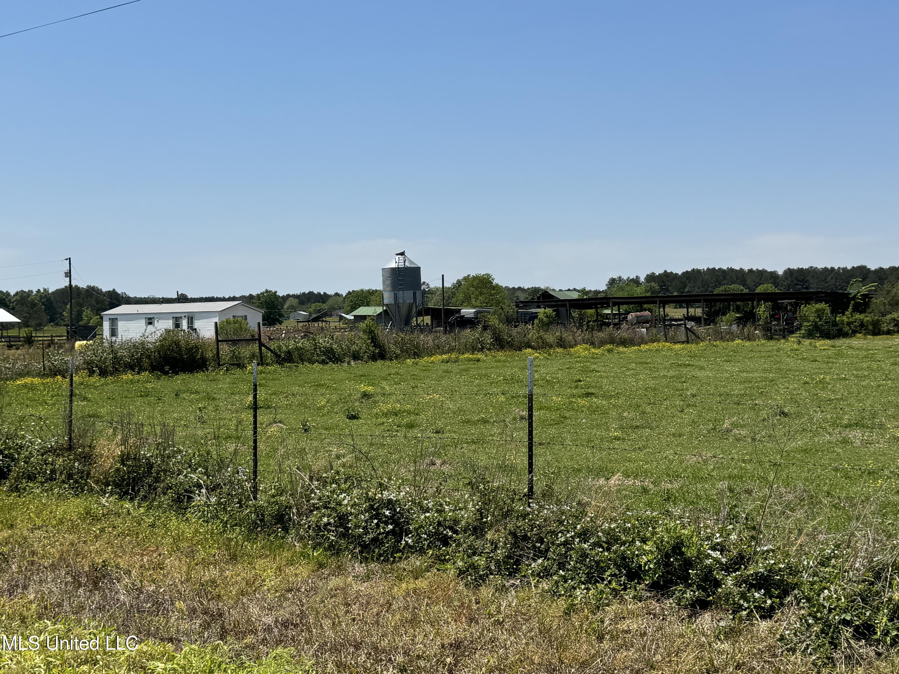 331 D Williams Road, Morton, Mississippi image 2