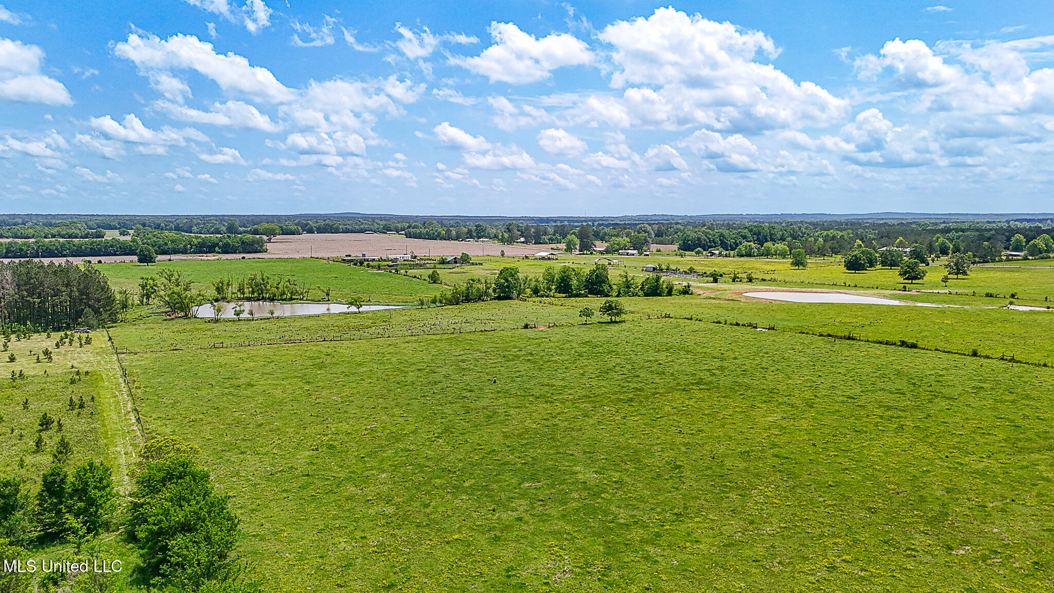 331 D Williams Road, Morton, Mississippi image 17