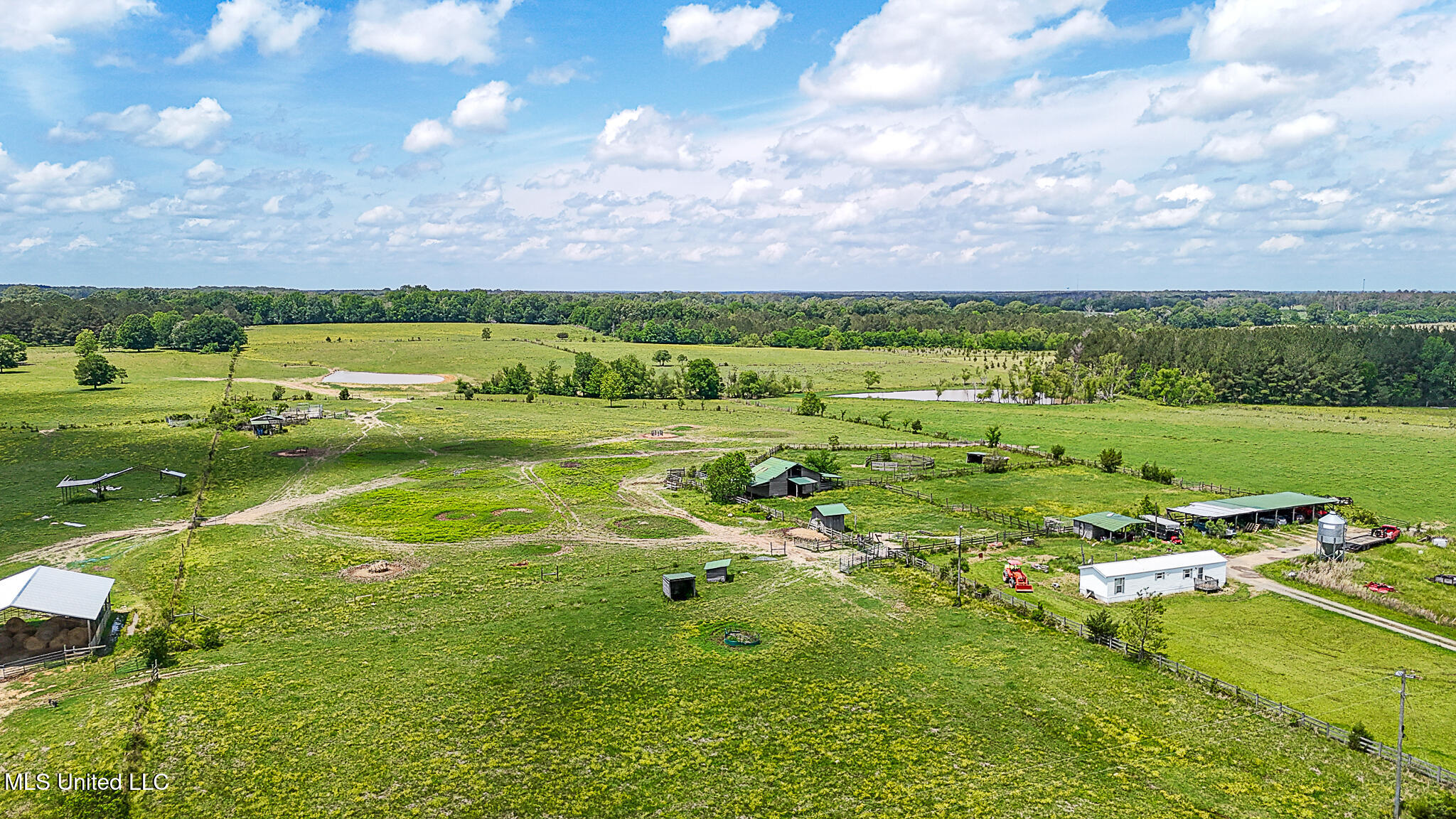 331 D Williams Road, Morton, Mississippi image 20