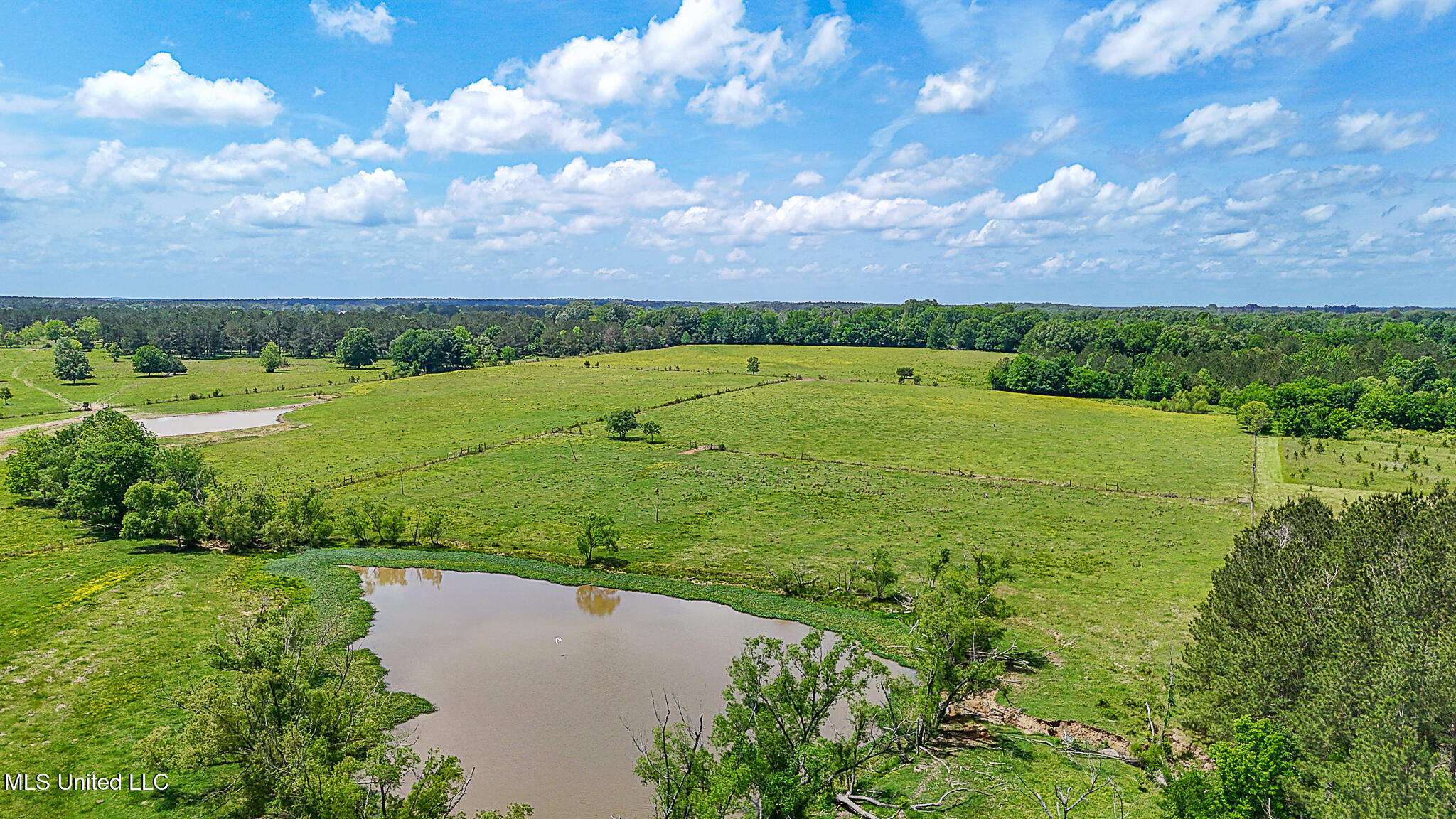 331 D Williams Road, Morton, Mississippi image 18