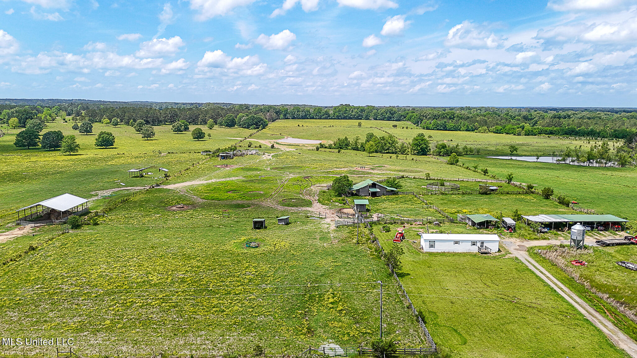 331 D Williams Road, Morton, Mississippi image 21