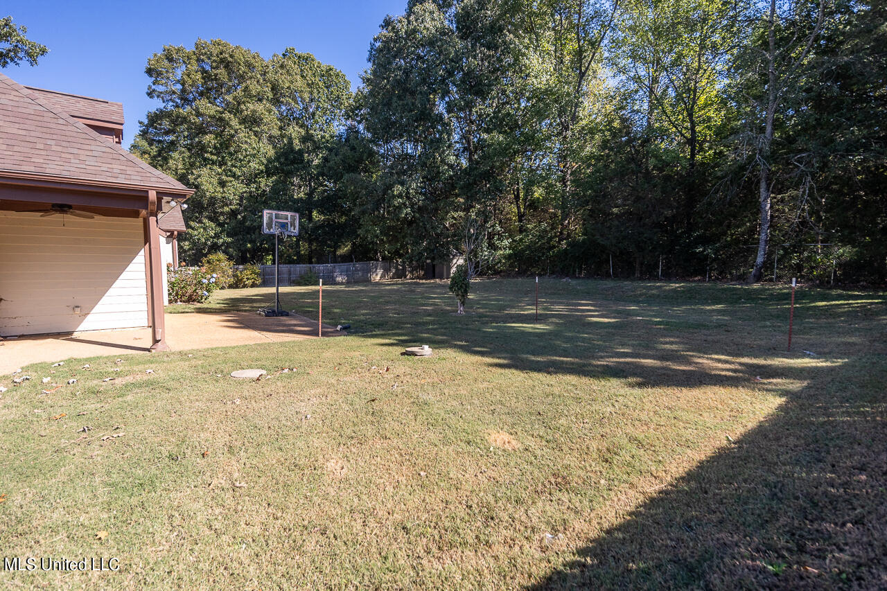 1146 Dogwood Hollow Drive, Nesbit, Mississippi image 33