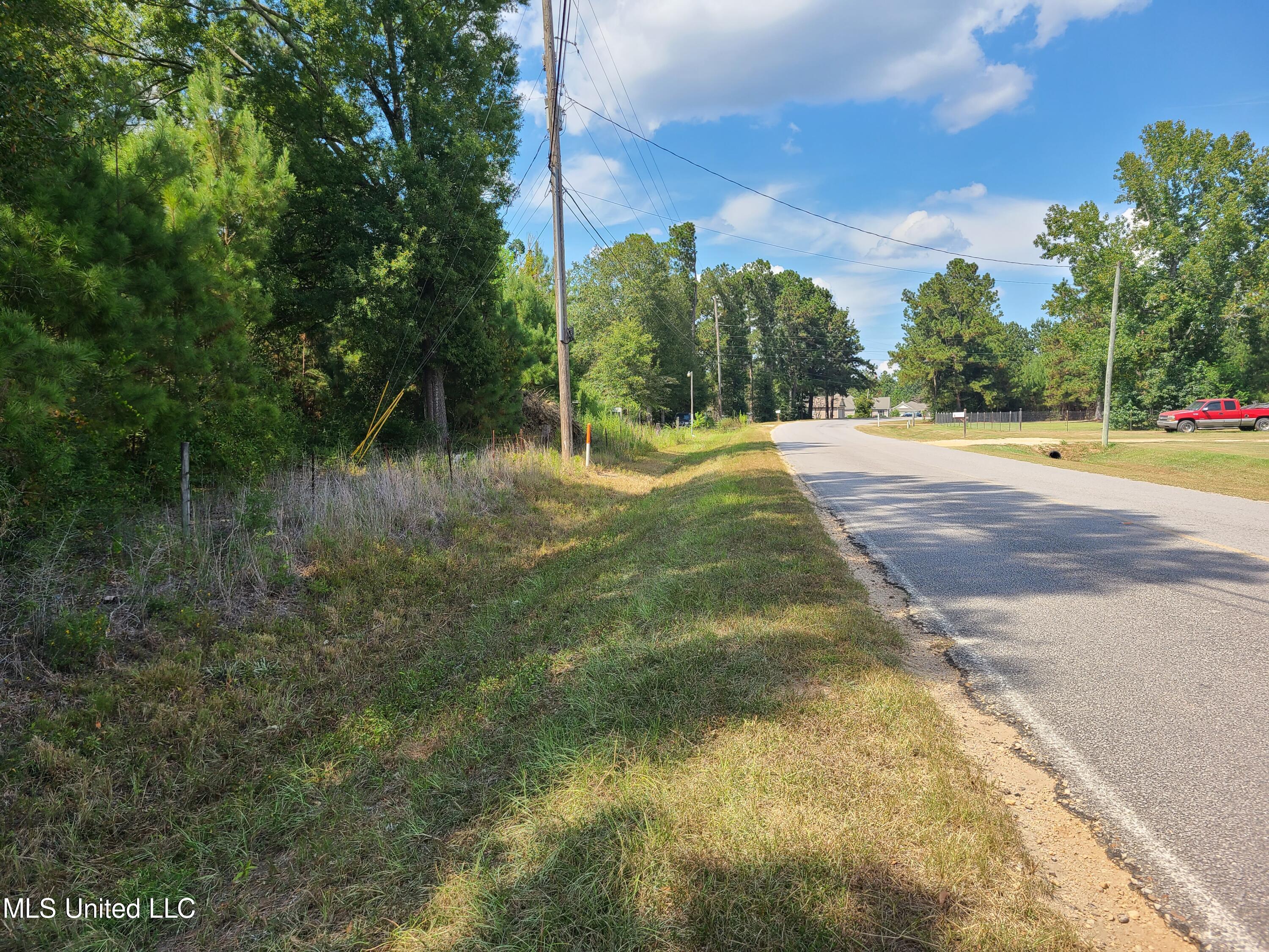 Nhn George Wise Road, Carriere, Mississippi image 3