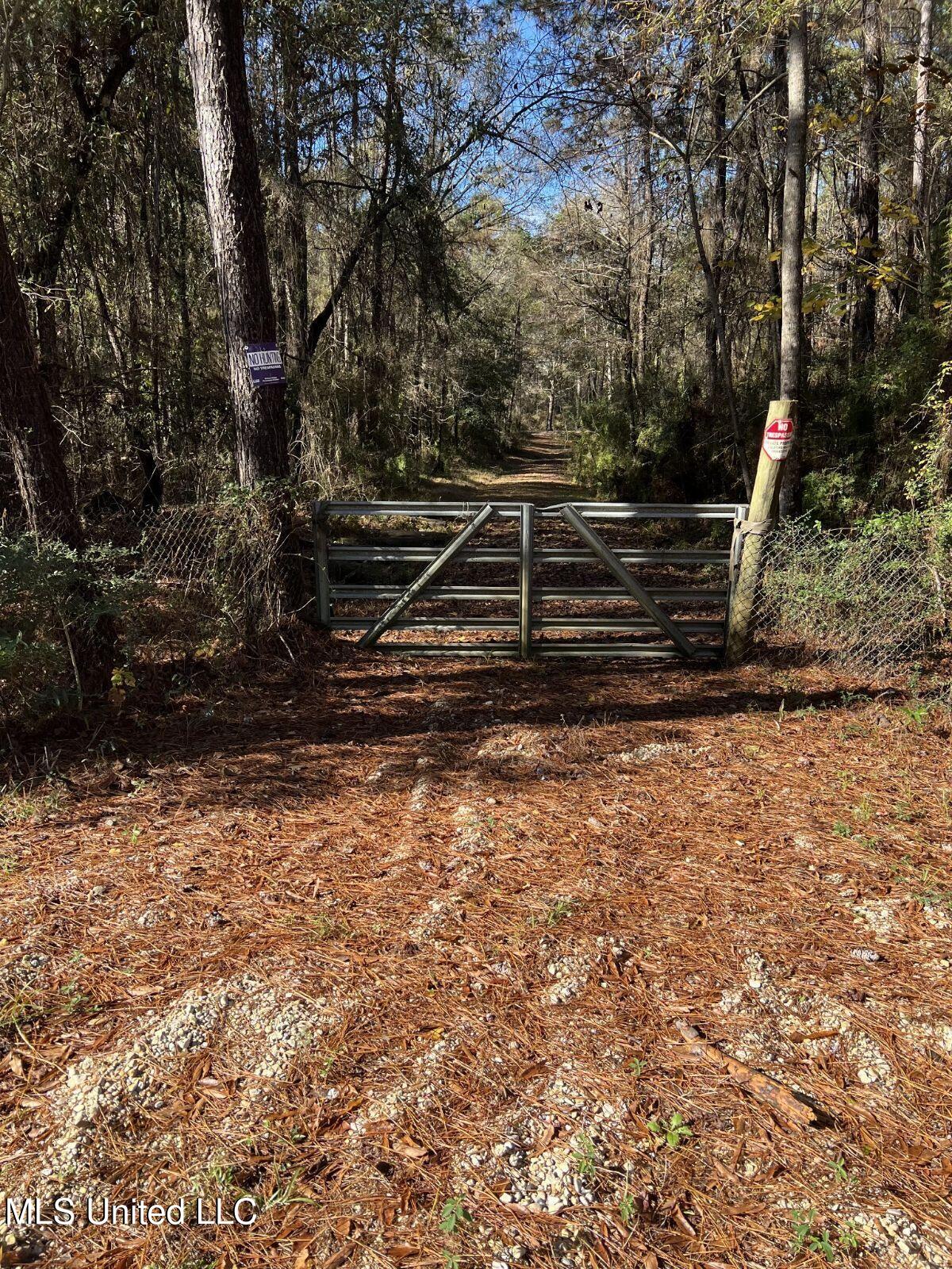Nhn George Wise Road, Carriere, Mississippi image 1