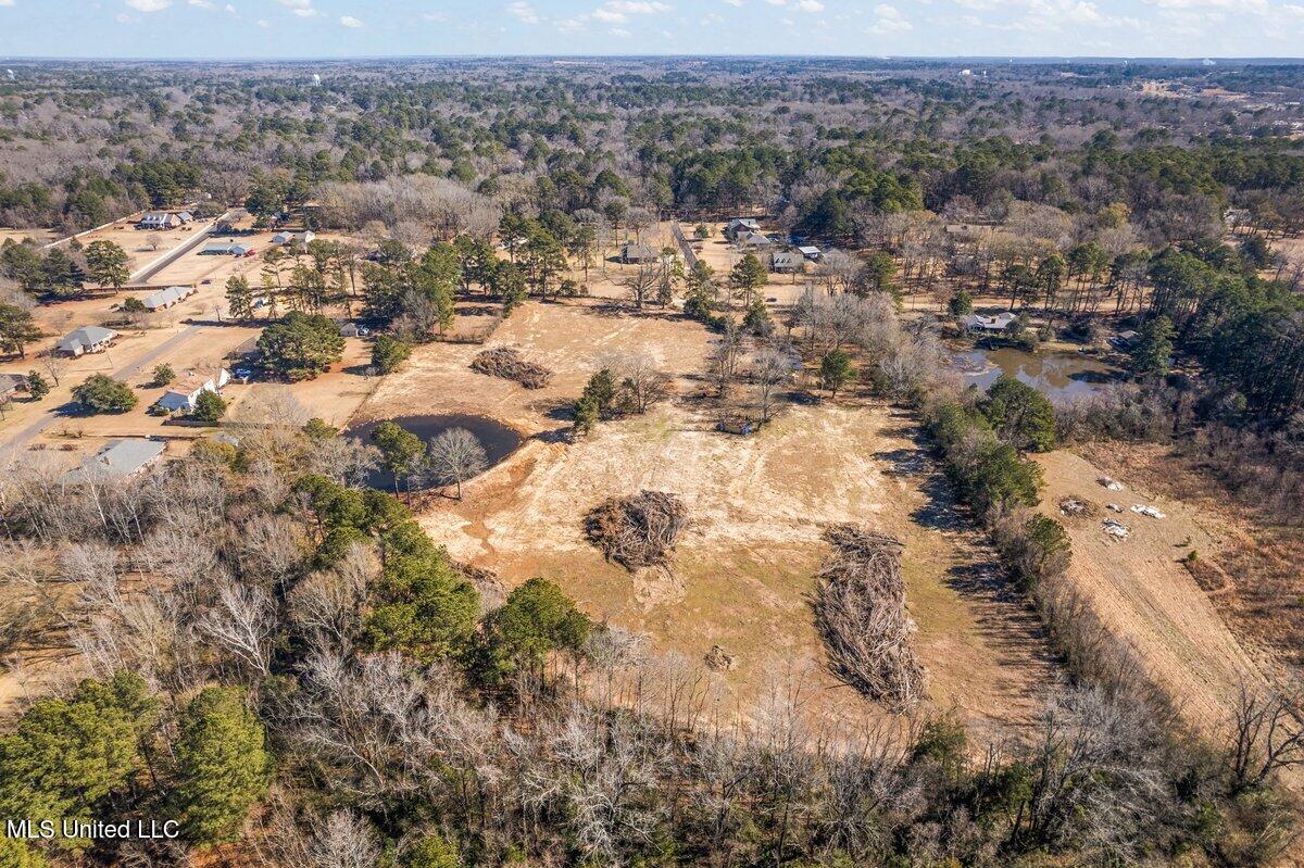 225 Burnham Road, Brandon, Mississippi image 9