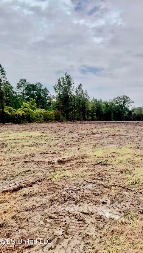 Vacant Land For Sale - Hwy 613<br/> Lucedale, MS 39452