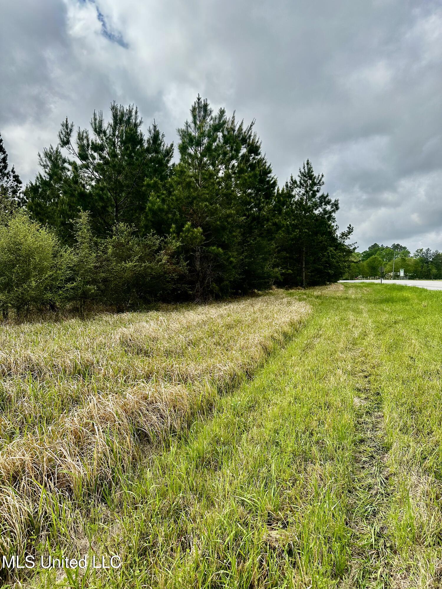 Hwy 613, Lucedale, Mississippi image 3
