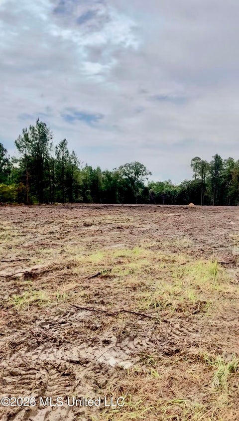 Vacant Land For Sale - Hwy 613<br/> Jackson County, Lucedale, MS 39452