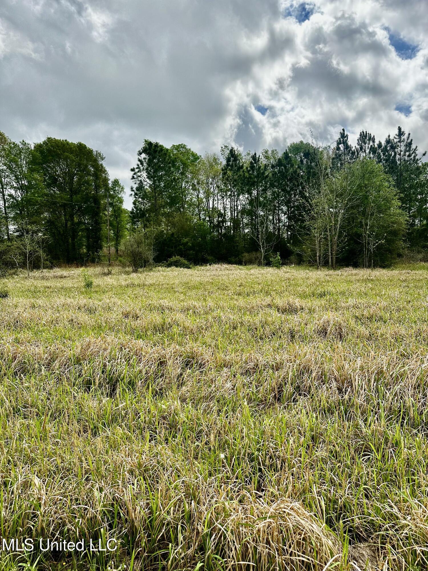 Hwy 613, Lucedale, Mississippi image 2