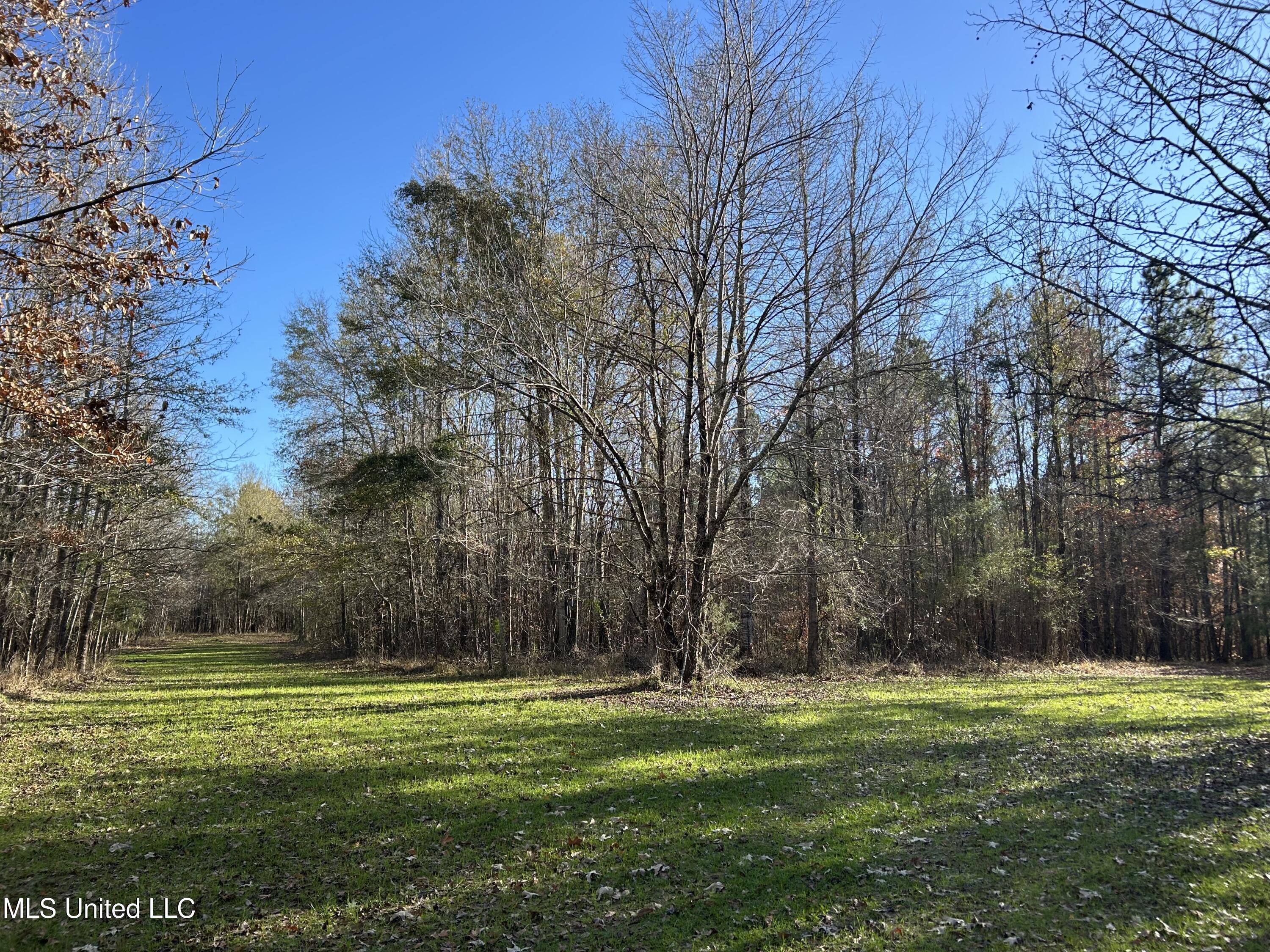 Breeden Road, Utica, Mississippi image 7