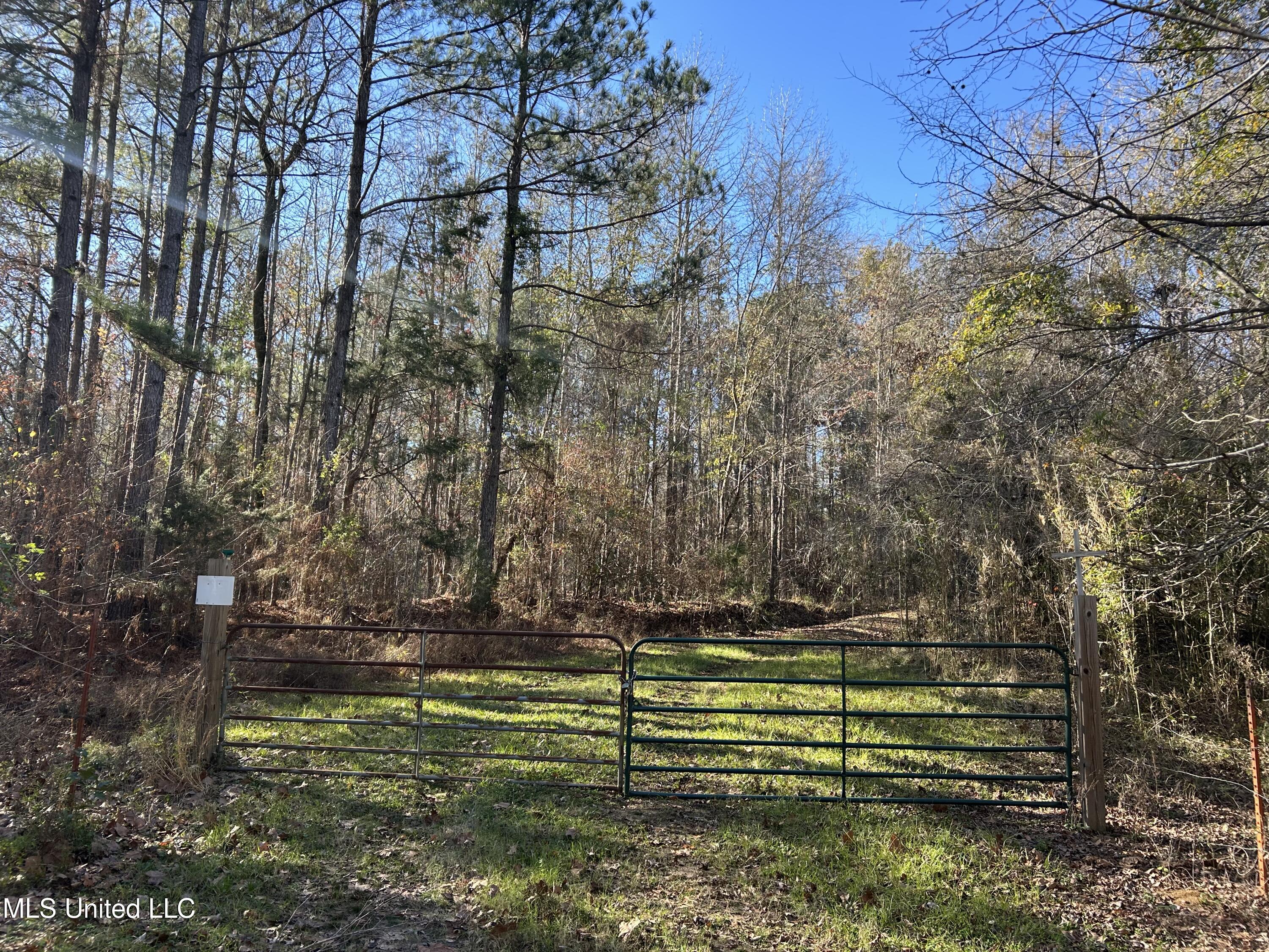 Breeden Road, Utica, Mississippi image 9