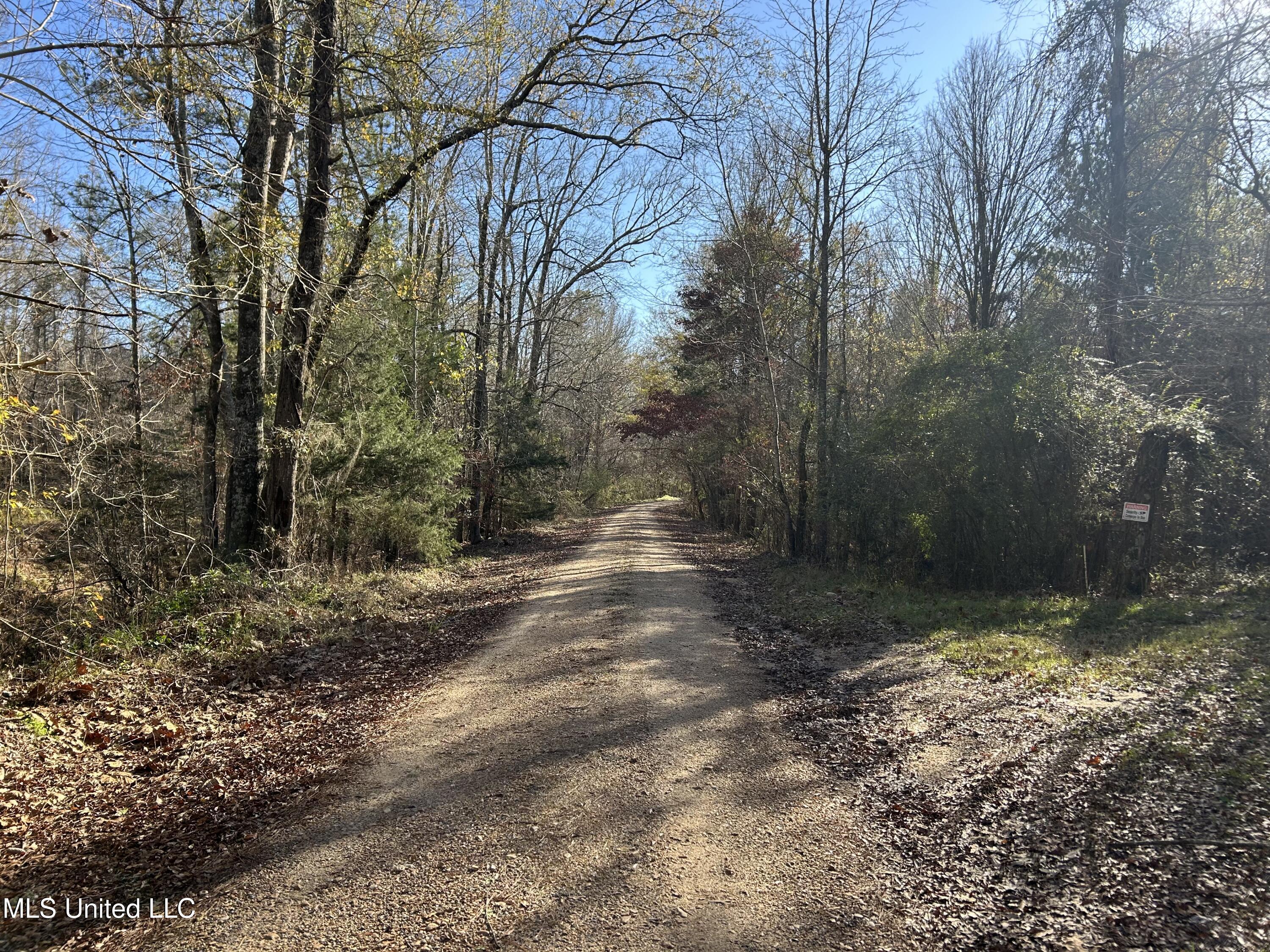 Breeden Road, Utica, Mississippi image 10