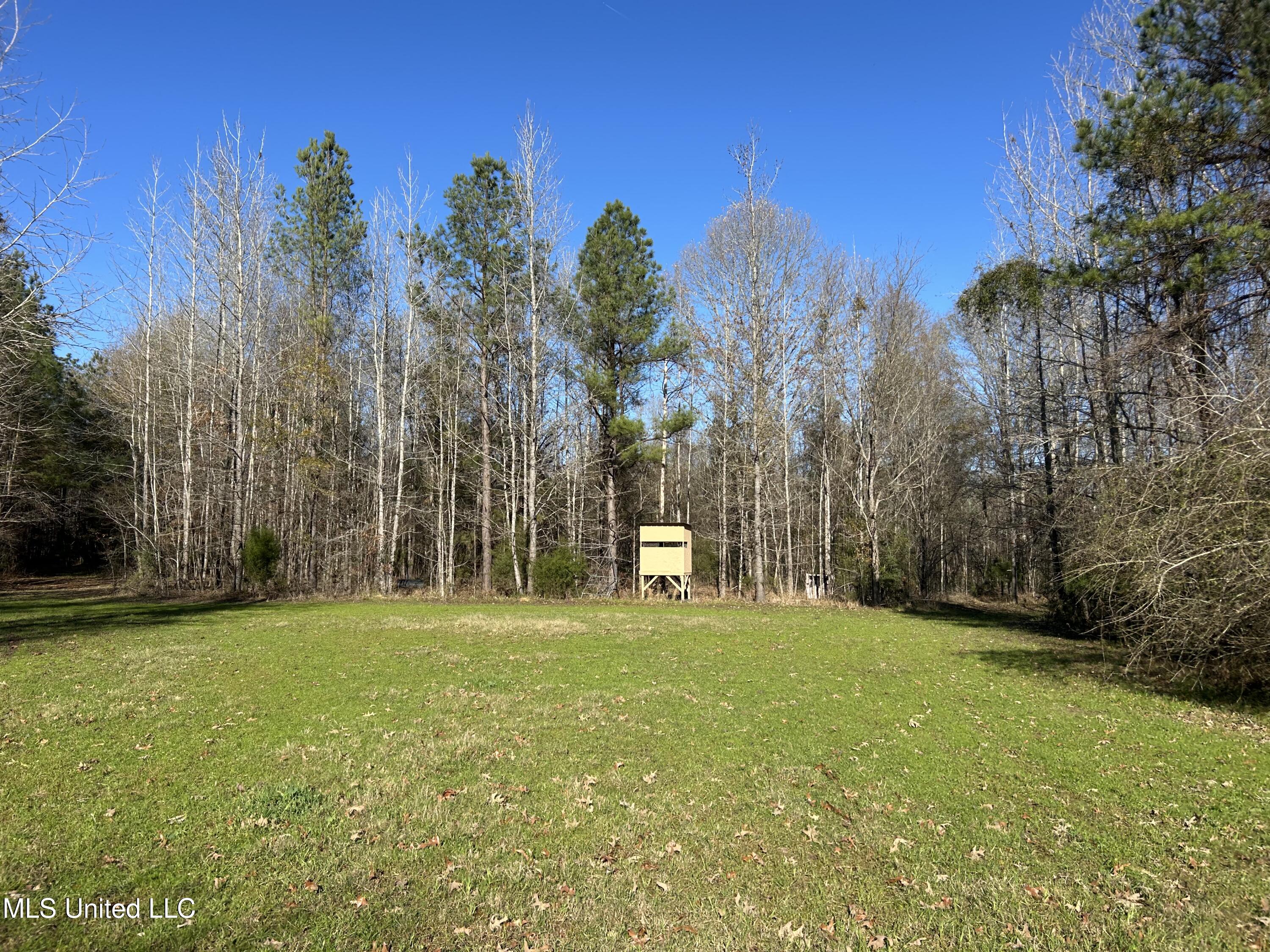 Breeden Road, Utica, Mississippi image 1