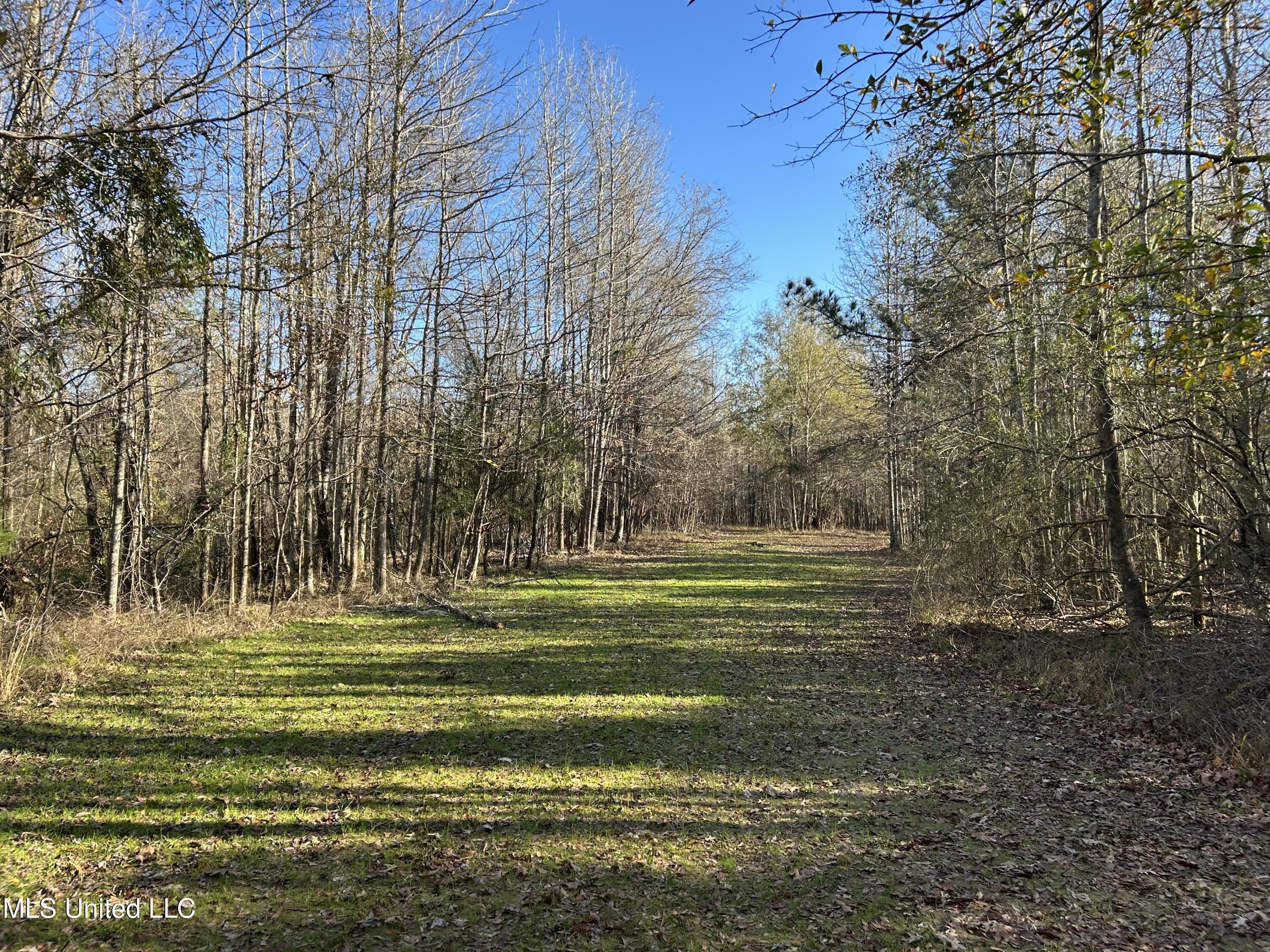 Breeden Road, Utica, Mississippi image 31