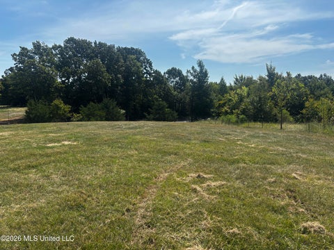 Vacant Land For Sale - Still Road<br/> Sardis, MS 38666