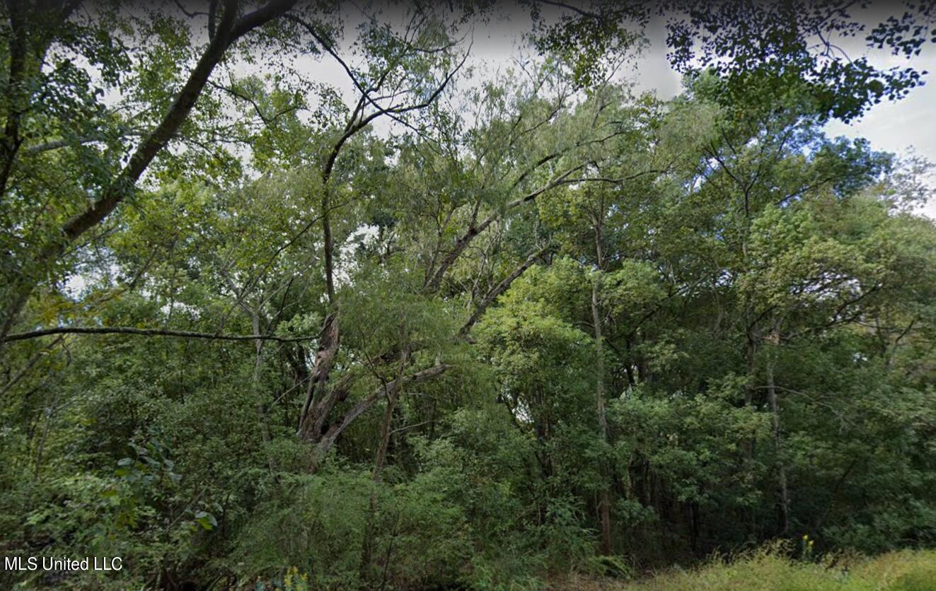 Dye Avenue, Moss Point, Mississippi image 1