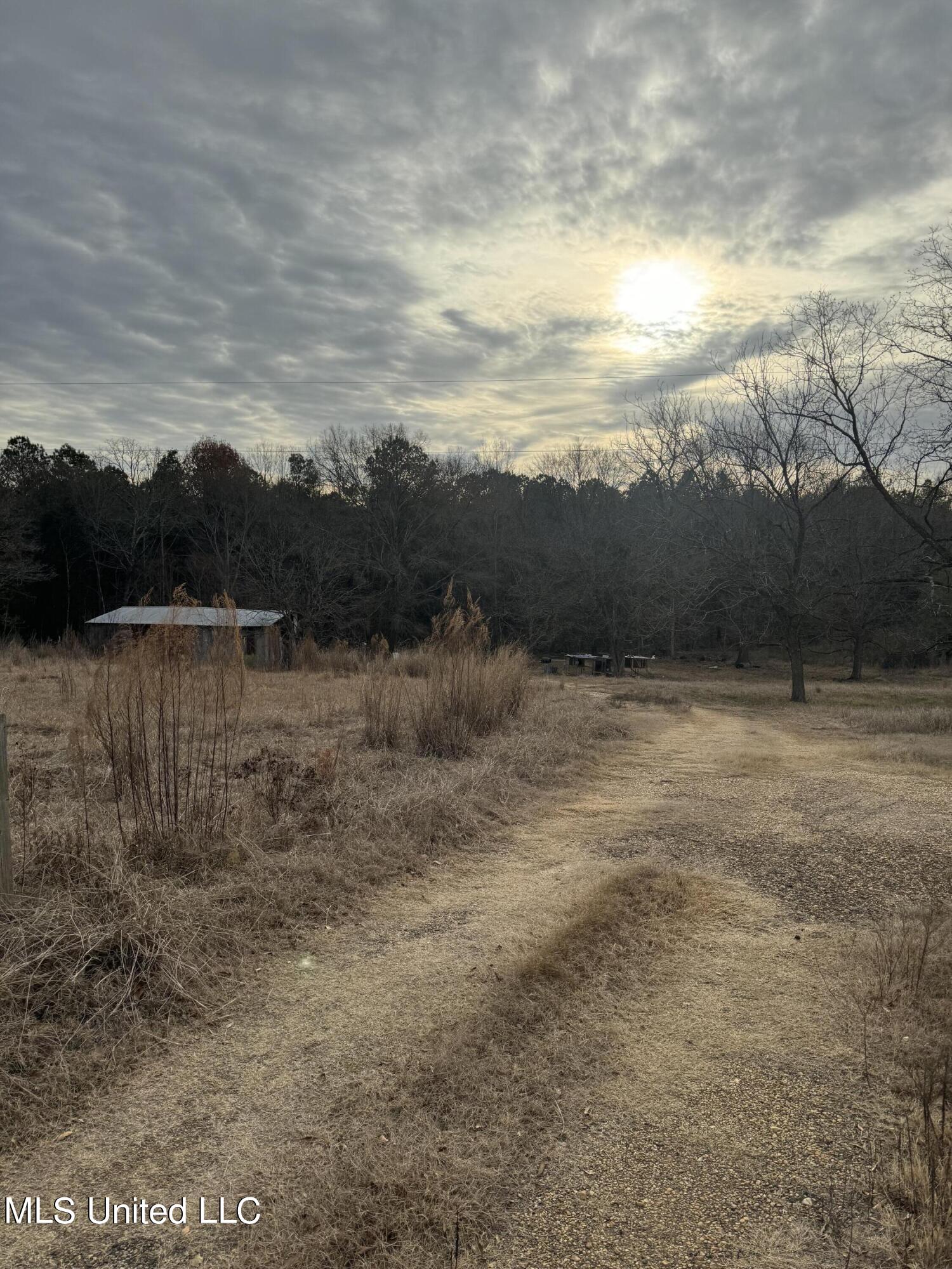 884 Robinson Springs Road, Madison, Mississippi image 3