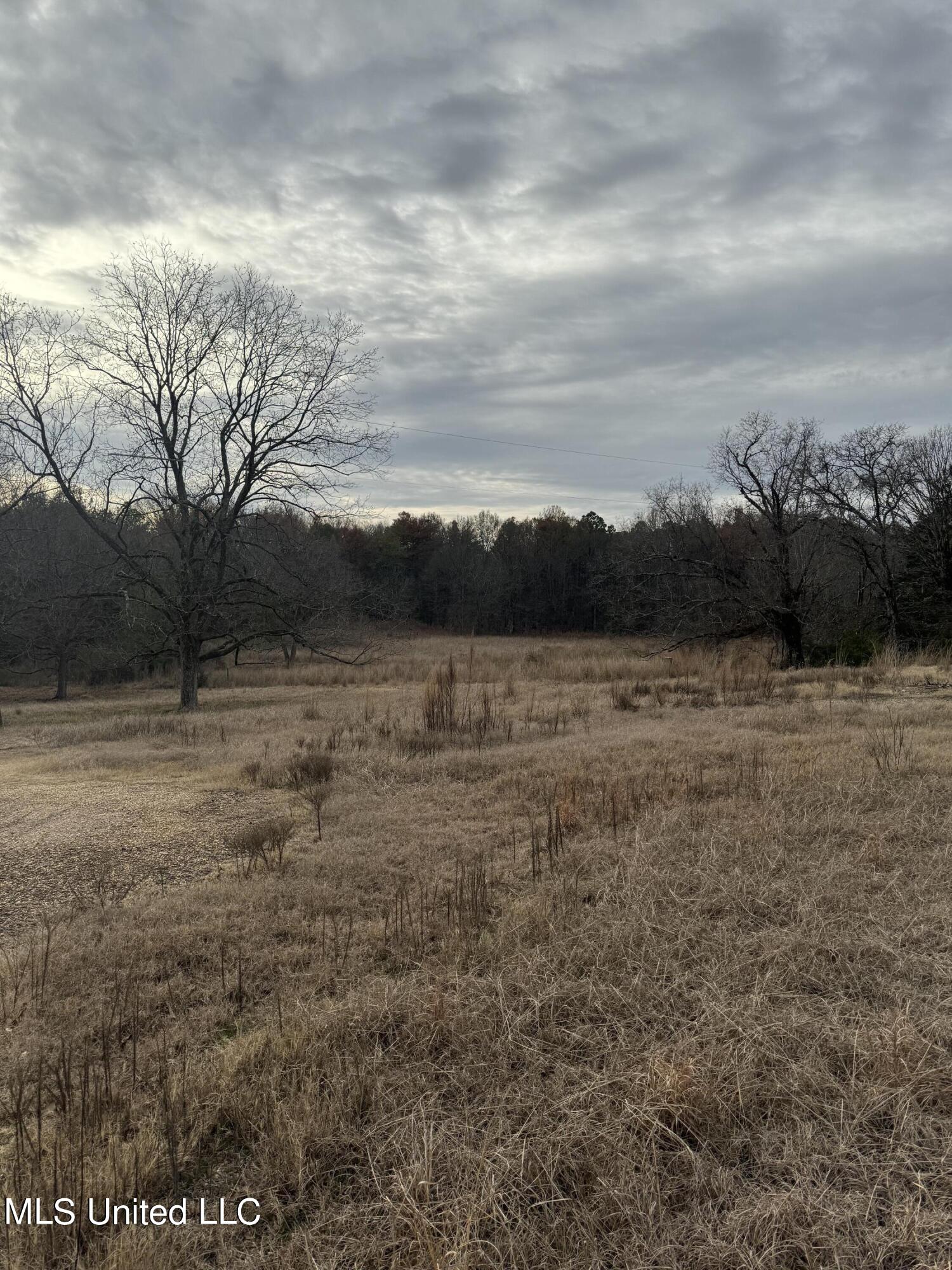 884 Robinson Springs Road, Madison, Mississippi image 4