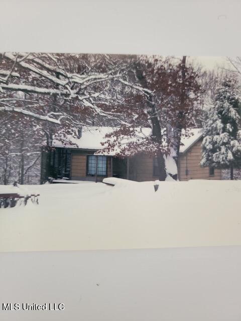 1614 Perry Chapel Road, Ashland, Mississippi image 30