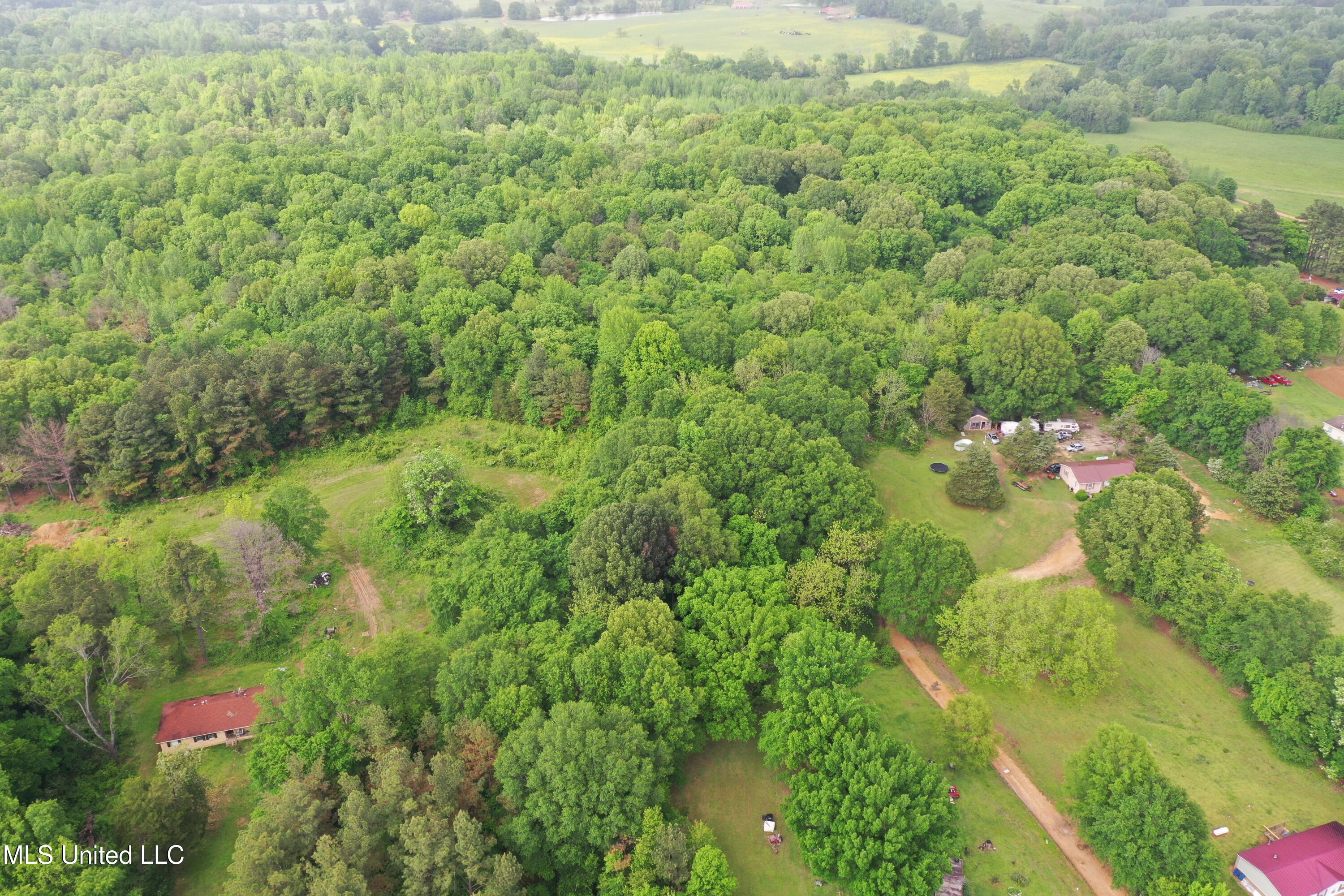 1400 Lrl Road, Senatobia, Mississippi image 2