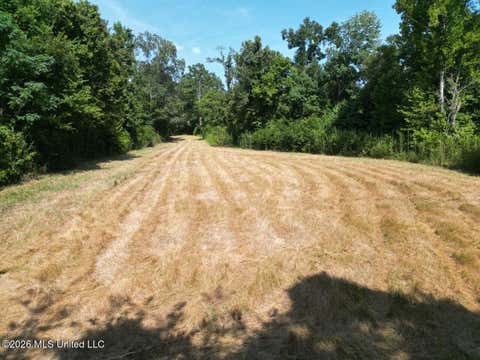 Vacant Land For Sale - Oil Well Road<br/> Fayette, MS 39069