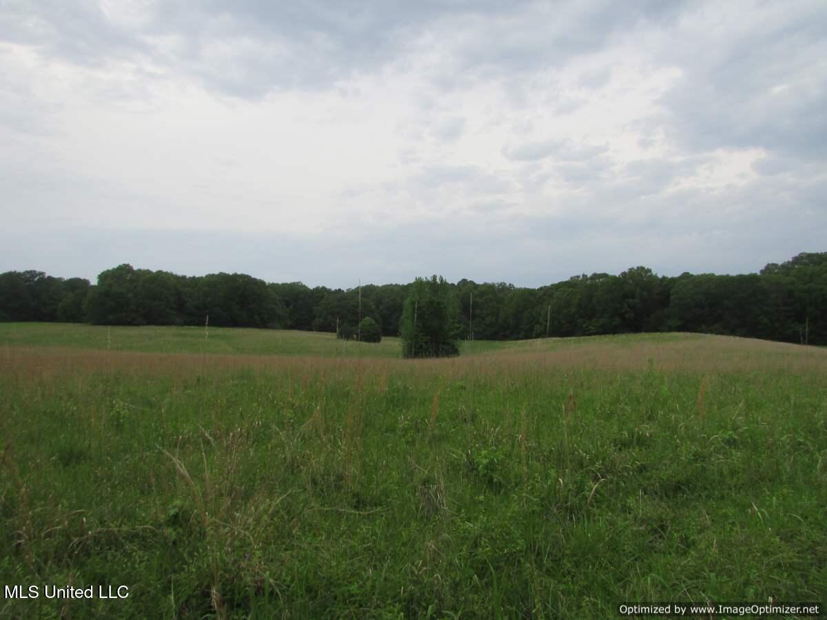 Vaughn Road, Vaughan, Mississippi image 3
