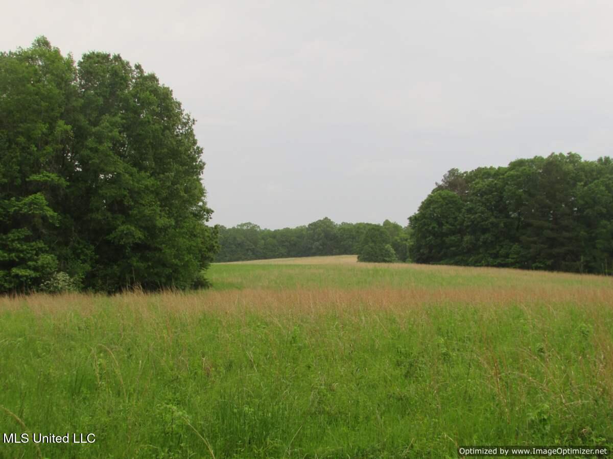 Vaughn Road, Vaughan, Mississippi image 1