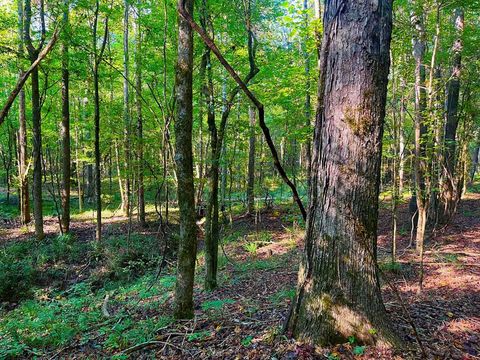 Vacant Land For Sale - 3050 James Drive<br/> Lincoln County, Wesson, MS 39191