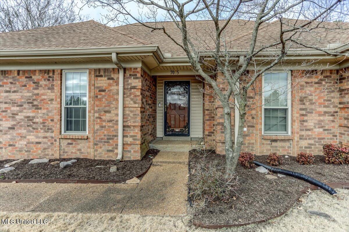 7075 Pecan Hill Road, Southaven, Mississippi image 6