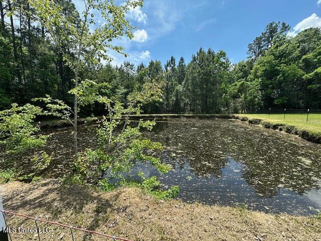 11504 Hazel Bounds Road, Vancleave, Mississippi image 3
