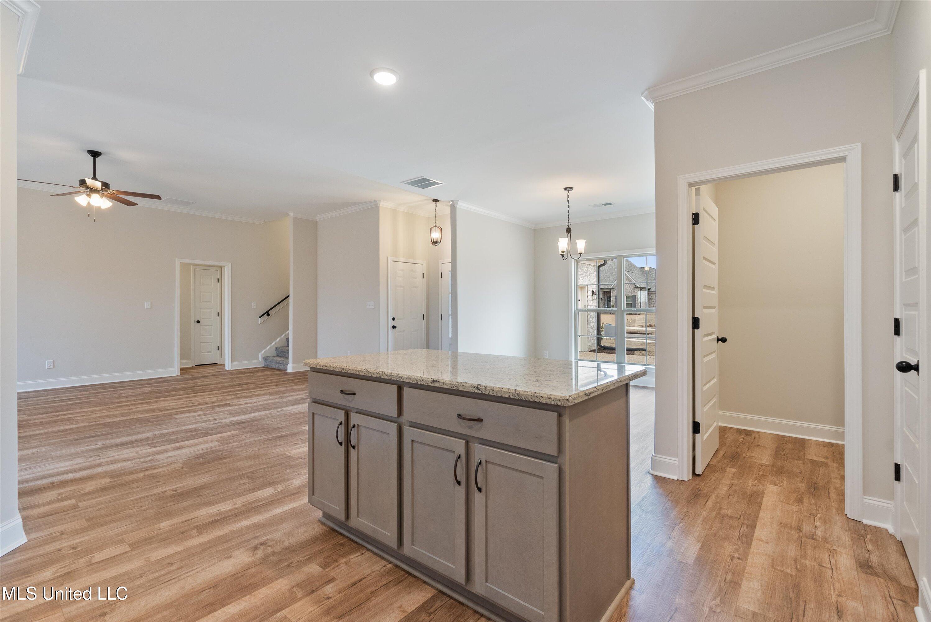 3762 Roland Drive, Southaven, Mississippi image 11