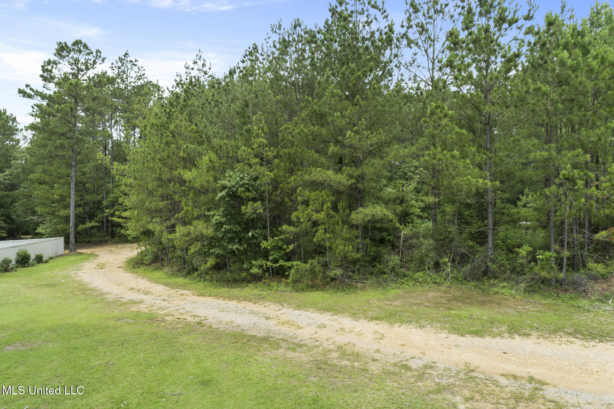 2 S Of Fields, Hattiesburg, Mississippi image 8