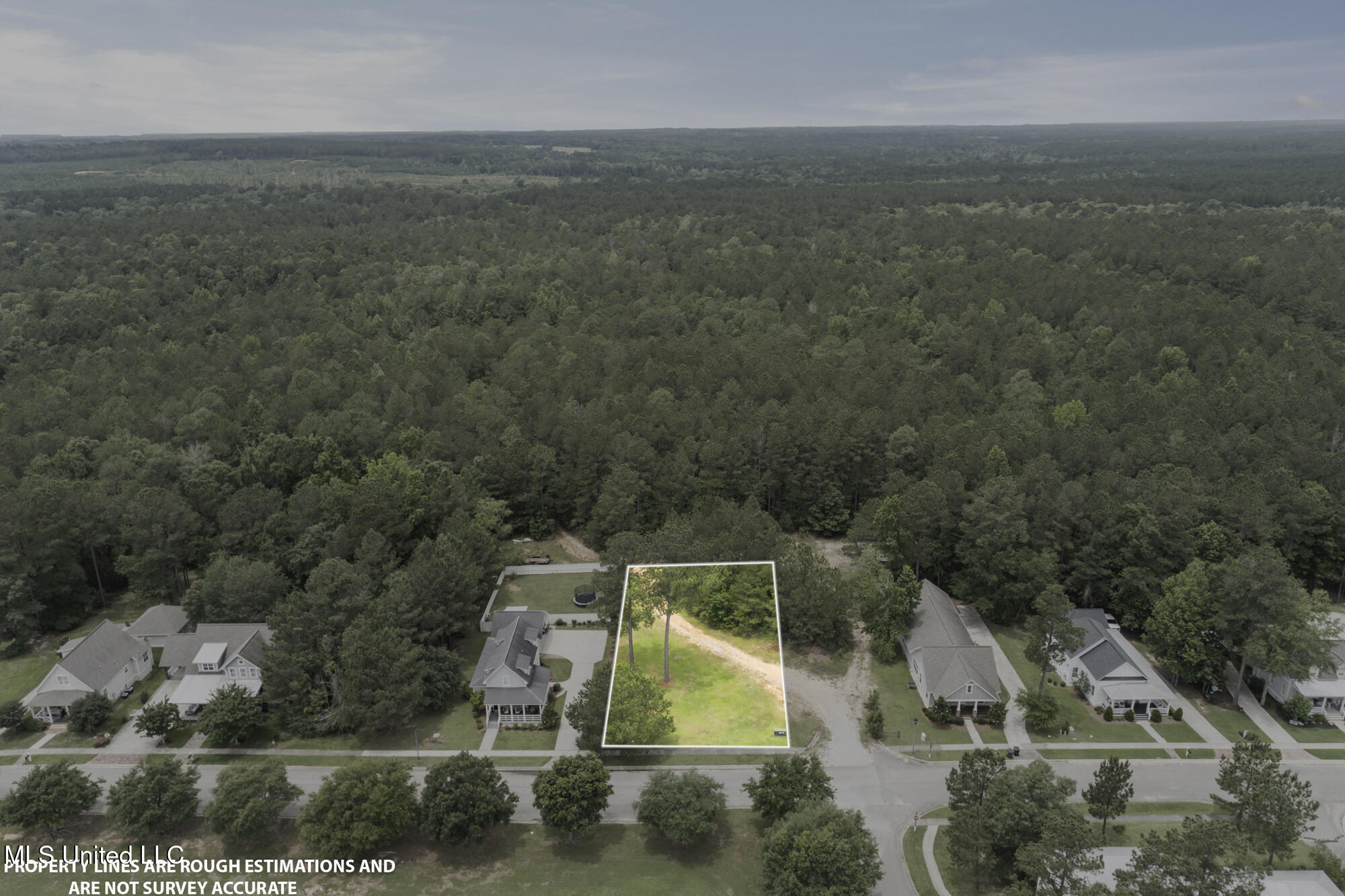 2 S Of Fields, Hattiesburg, Mississippi image 5