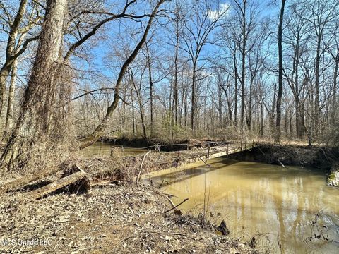 Vacant Land For Sale - 2 Evans Road<br/> Leake County, Carthage, MS 39051