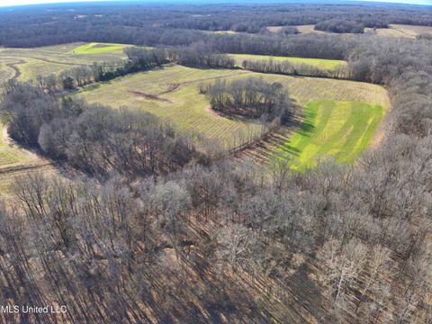 Vacant Land For Sale - 577 Black Jack Road<br/> Vaughan, MS 39179