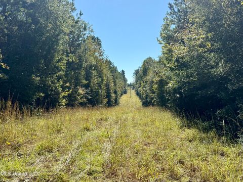 Vacant Land For Sale - 47 Mose Hilliard Road<br/> Sontag, MS 39665
